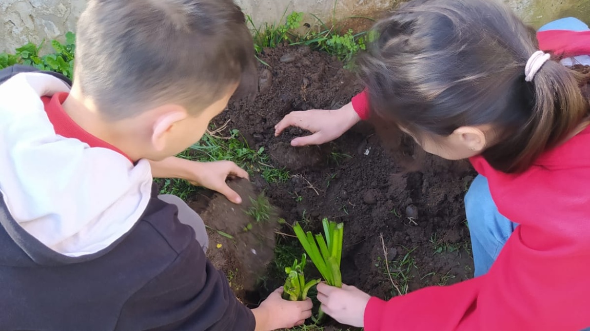 Okul Bahçemizi Minik Eller İle Güzelleştiriyoruz